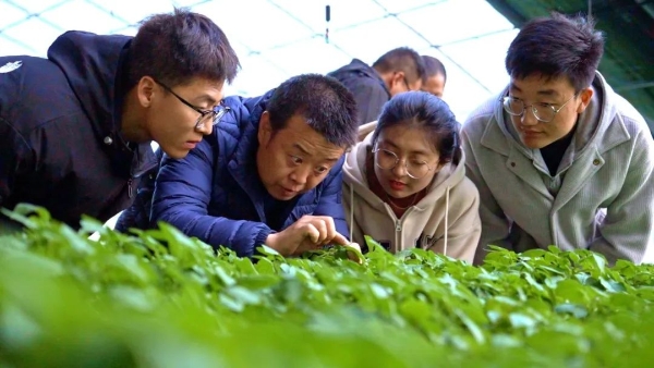 科技小院賦能薯鄉，甘肅通渭馬鈴薯產業迎來新機——全省農技協組織和科技小院建設工作推進會實地調研側記